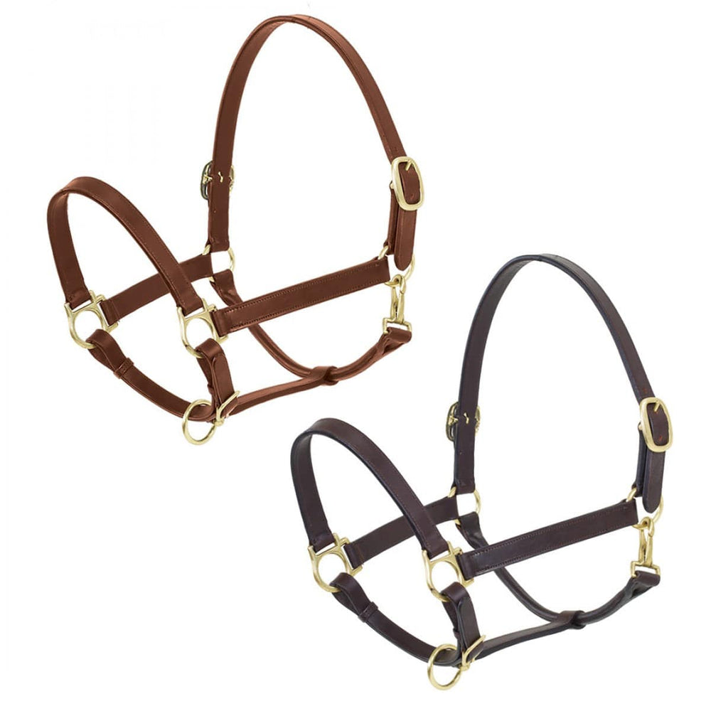 Ovation® Elite Stable Halter - Equine Exchange Tack Shop