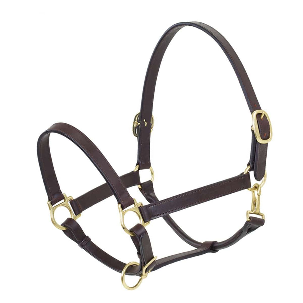 Ovation® Elite Stable Halter - Equine Exchange Tack Shop