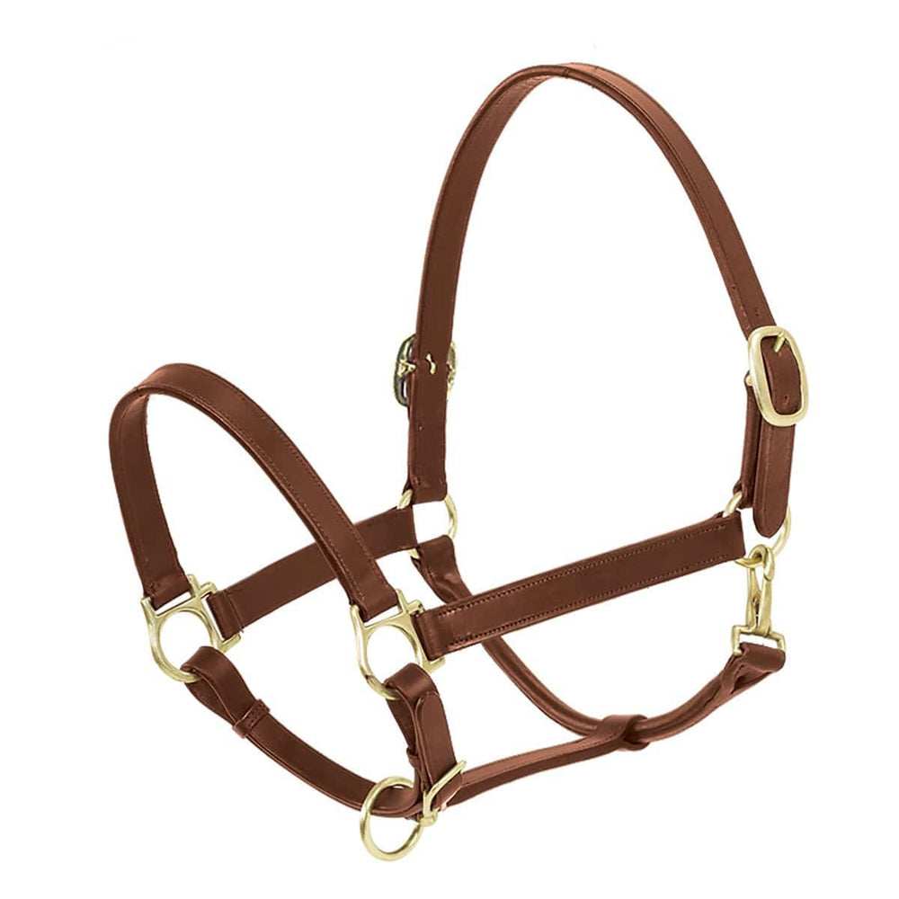 Ovation® Elite Stable Halter - Equine Exchange Tack Shop