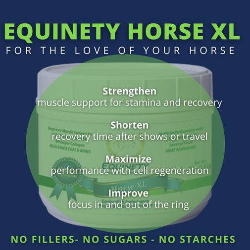 Equinety Horse XL Amino Acid Supplement 600g - Equine Exchange Tack Shop