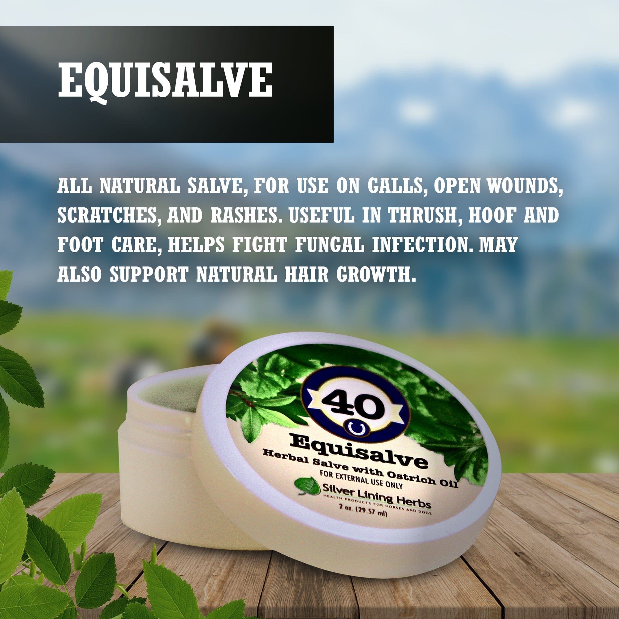 Equisalve For Horses - Equine Exchange Tack Shop