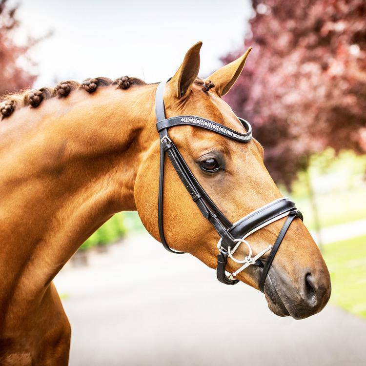 Fager Billy Sweet iron FSS™ Fulmer - Equine Exchange Tack Shop