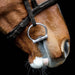 Fager Julia Sweet Iron FIxed Rings - Equine Exchange Tack Shop