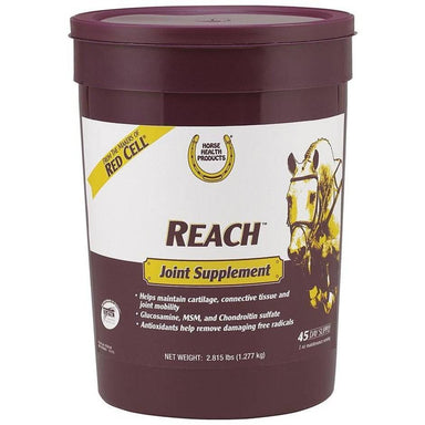 Reach Joint Supplement For Horses - Equine Exchange Tack Shop