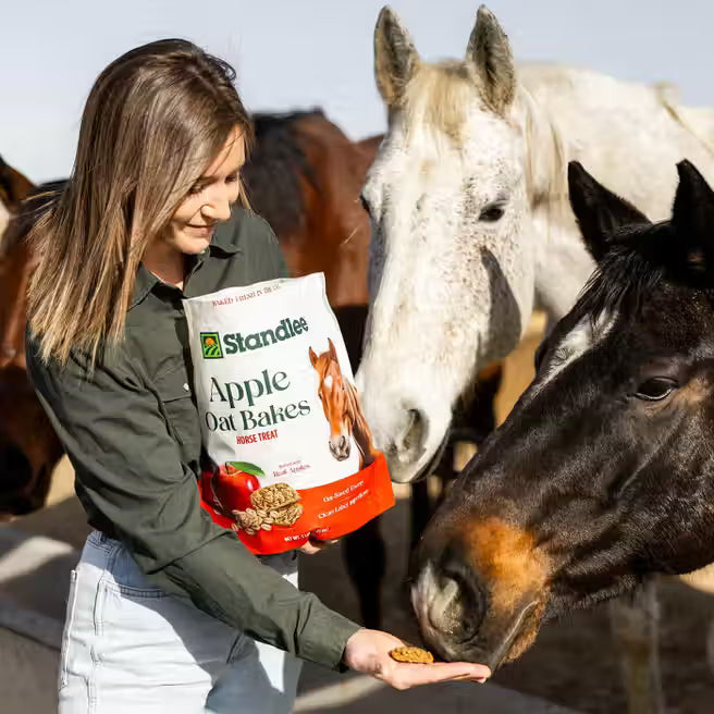 Apple Oat Bakes Horse Treats