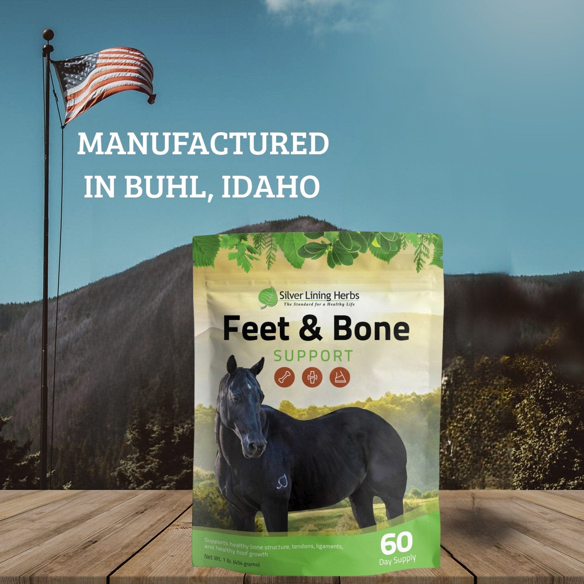 Feet & Bone Support for Horses - Equine Exchange Tack Shop