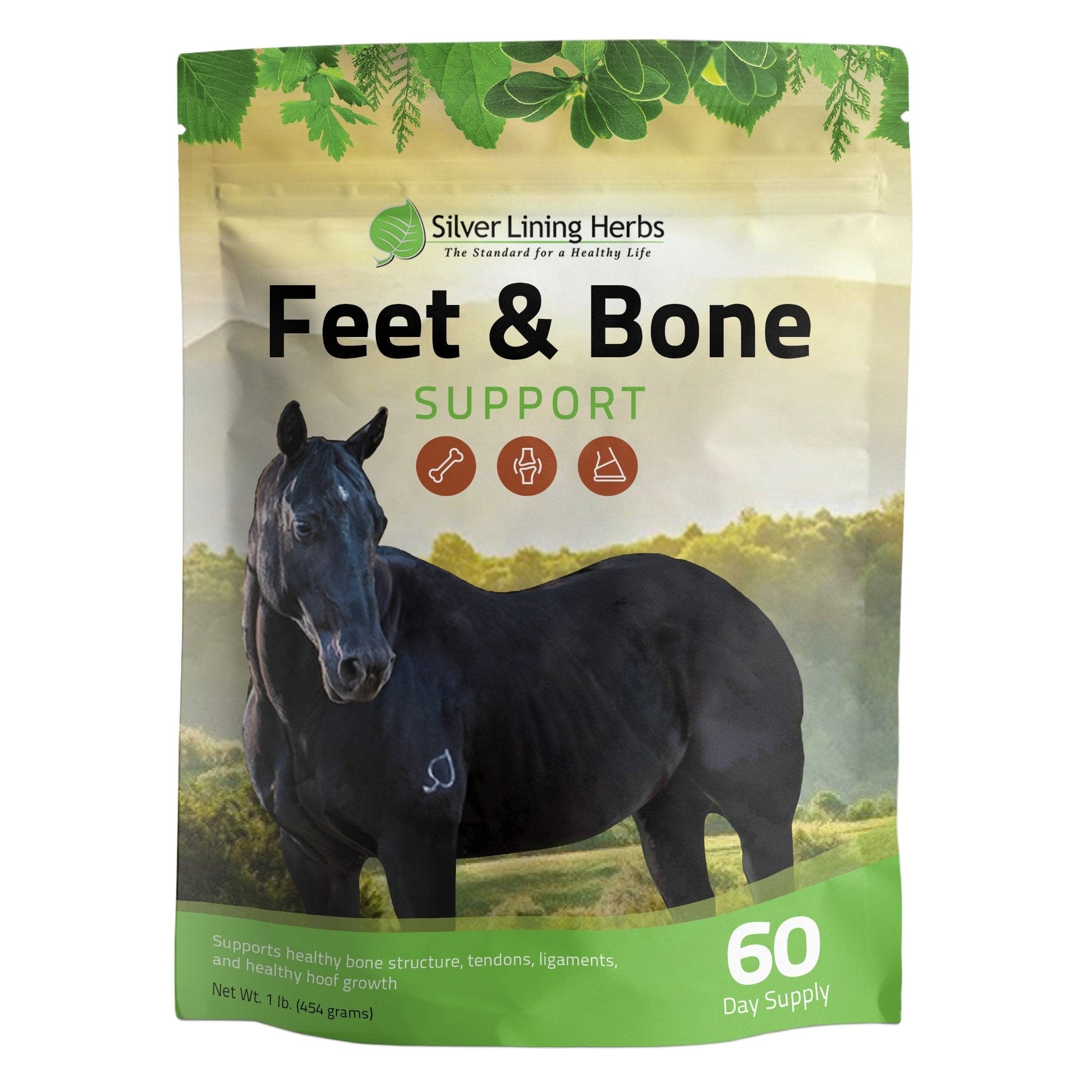 Feet & Bone Support for Horses - Equine Exchange Tack Shop