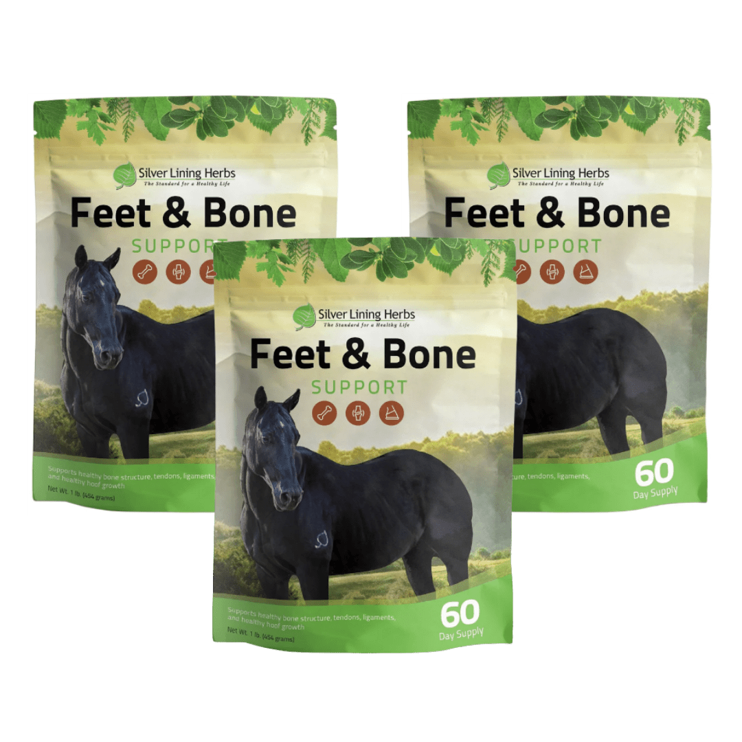 Feet & Bone Support for Horses - Equine Exchange Tack Shop