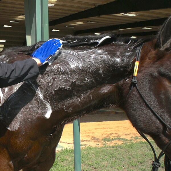 Vetericyn FoamCare® Equine Shampoo