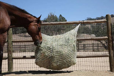 Freedom Feeder 6-Flake Extended Day Hay Net - Equine Exchange Tack Shop