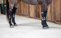 G-Force - Equine Exchange Tack Shop