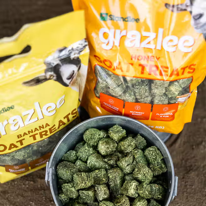 Grazlee Goat Treats 3 lbs