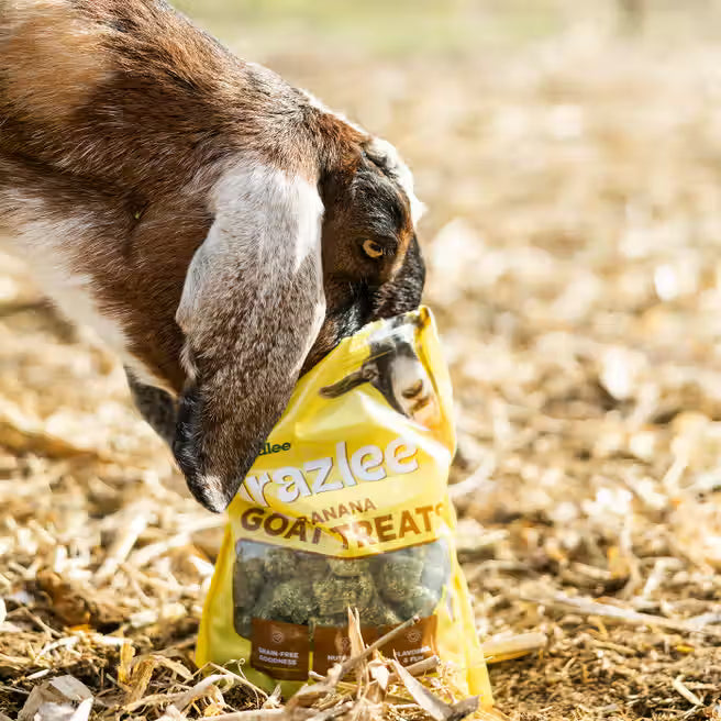 Grazlee Goat Treats 3 lbs