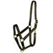 Gatsby Leather Halter w/Snap - Havana - Equine Exchange Tack Shop