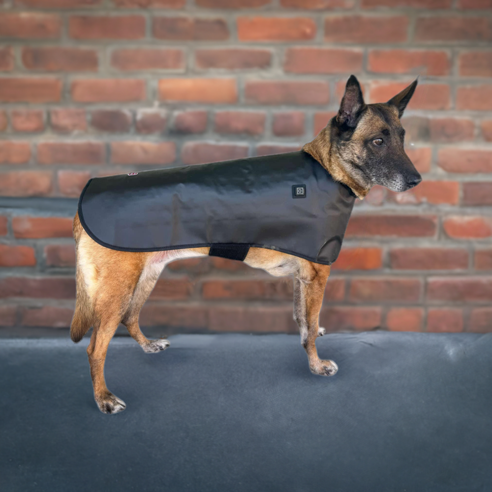 Redline Dog Wrap- Large - Equine Exchange Tack Shop