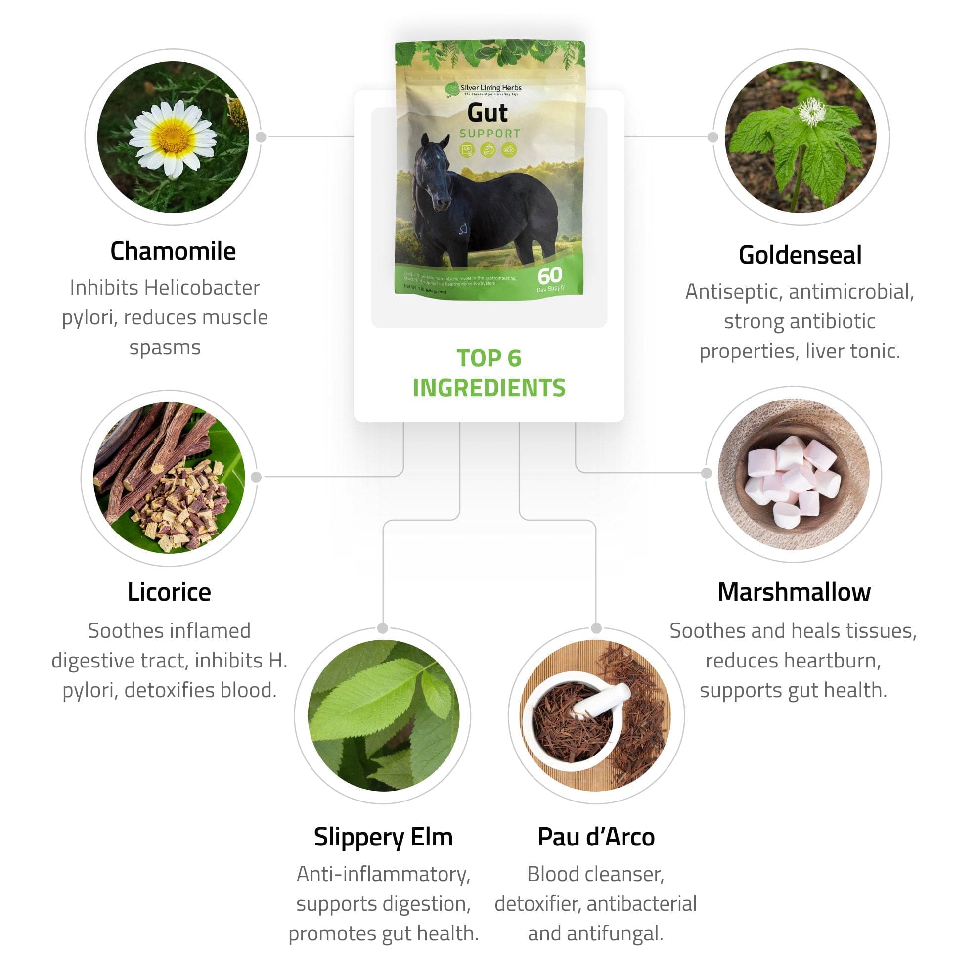 Gut Support for Horses - Equine Exchange Tack Shop