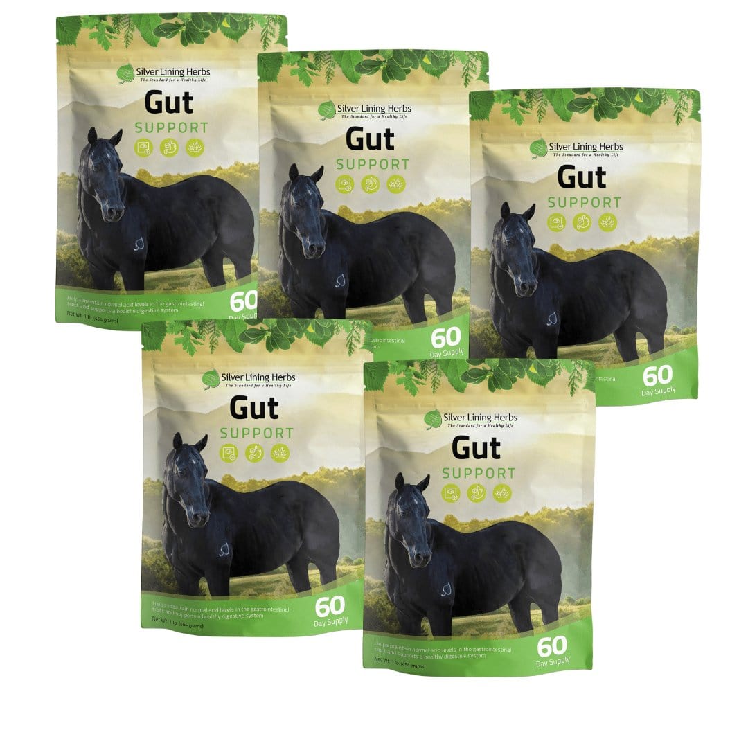 Gut Support for Horses - Equine Exchange Tack Shop