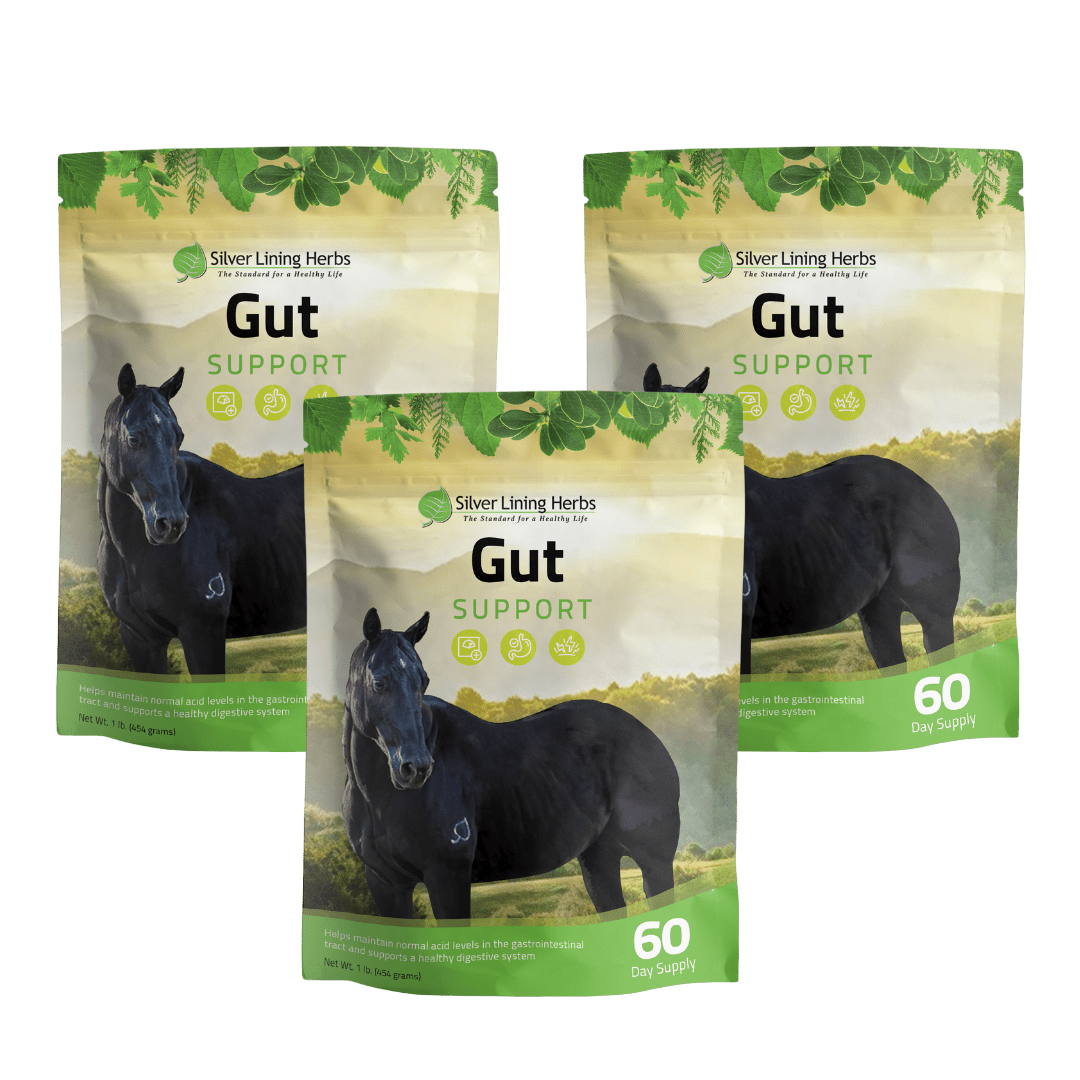 Gut Support for Horses - Equine Exchange Tack Shop