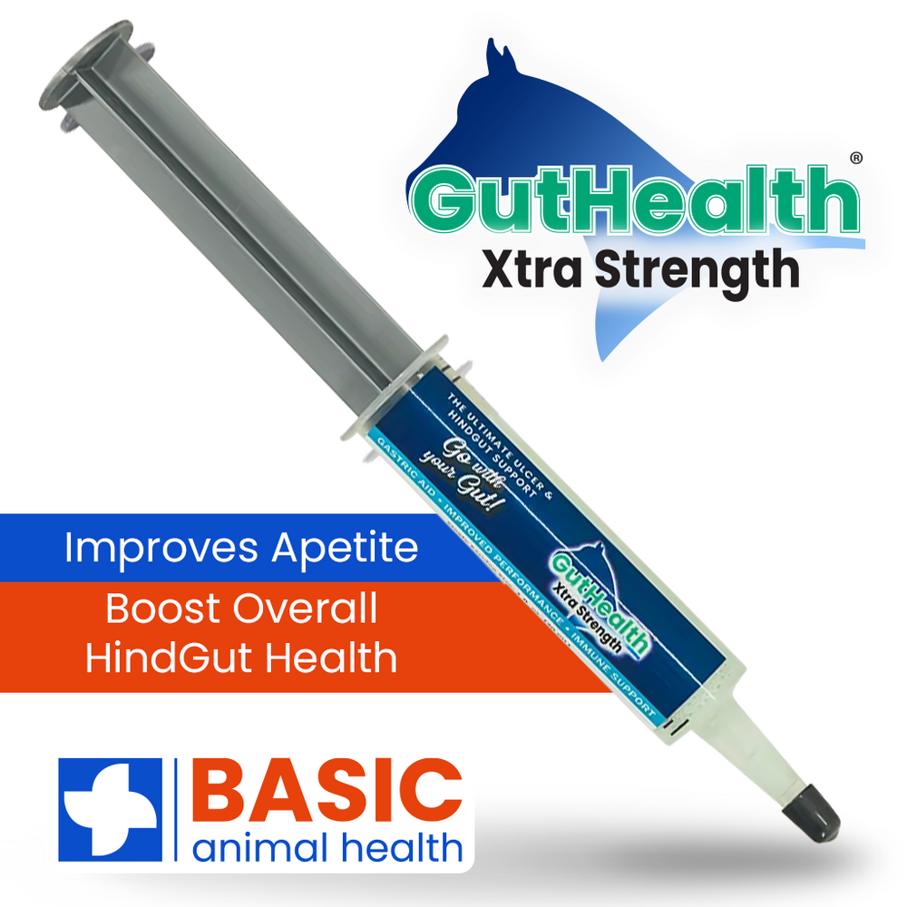 GutHealth Xtra Strength Gel Supplement for Horses - Equine Exchange Tack Shop