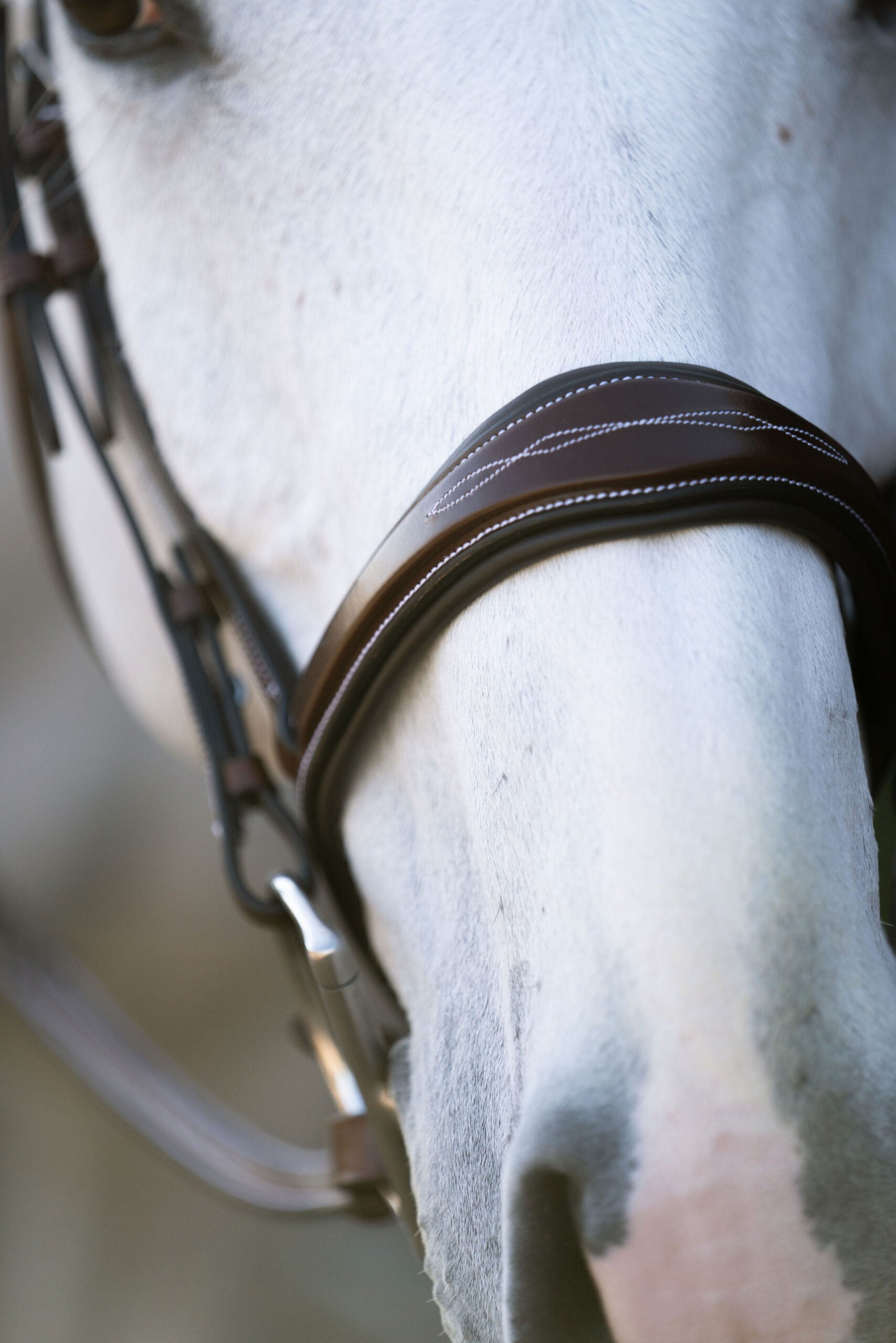 Hampton Tapered Padded Hunter Bridle