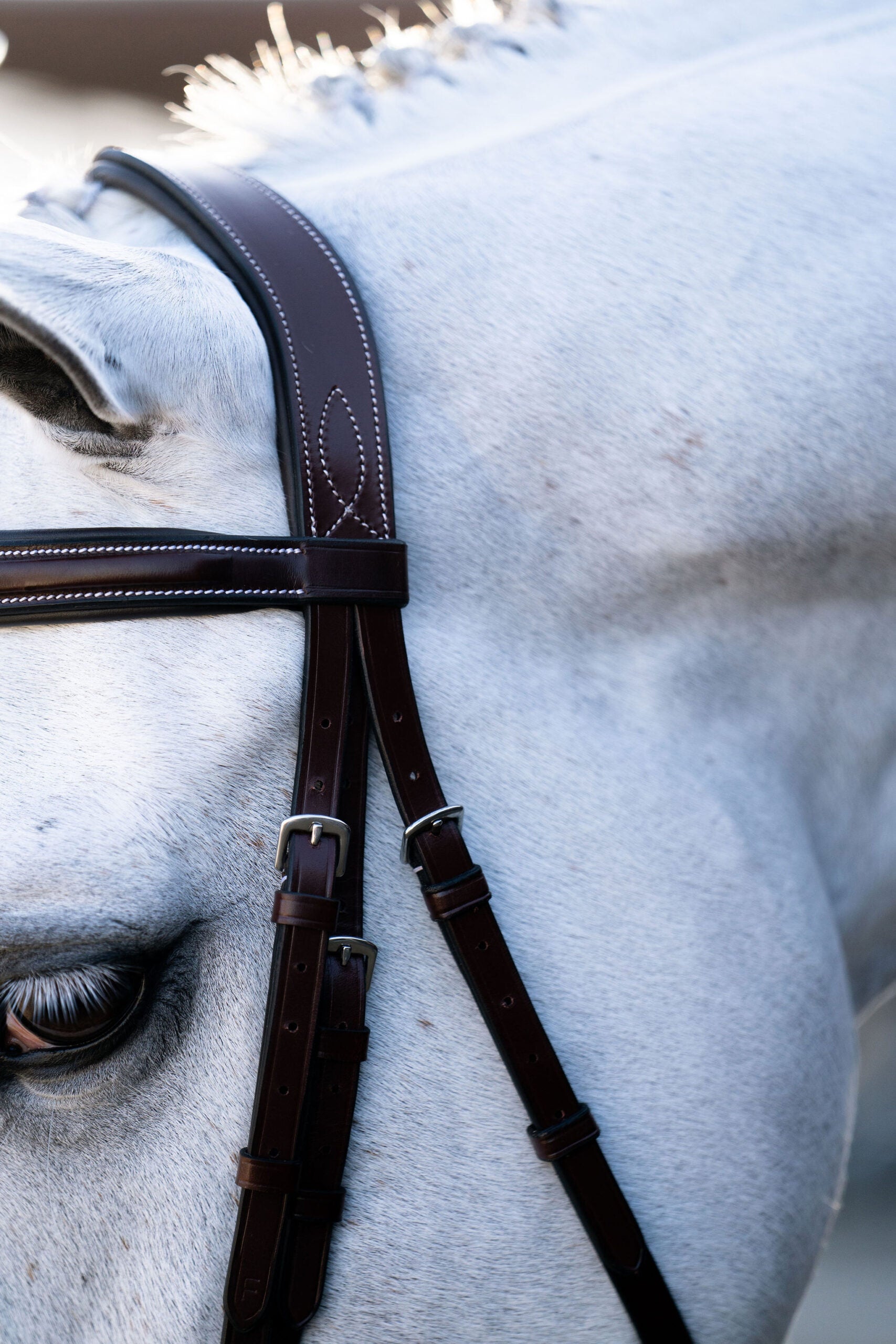 Hampton Tapered Padded Hunter Bridle