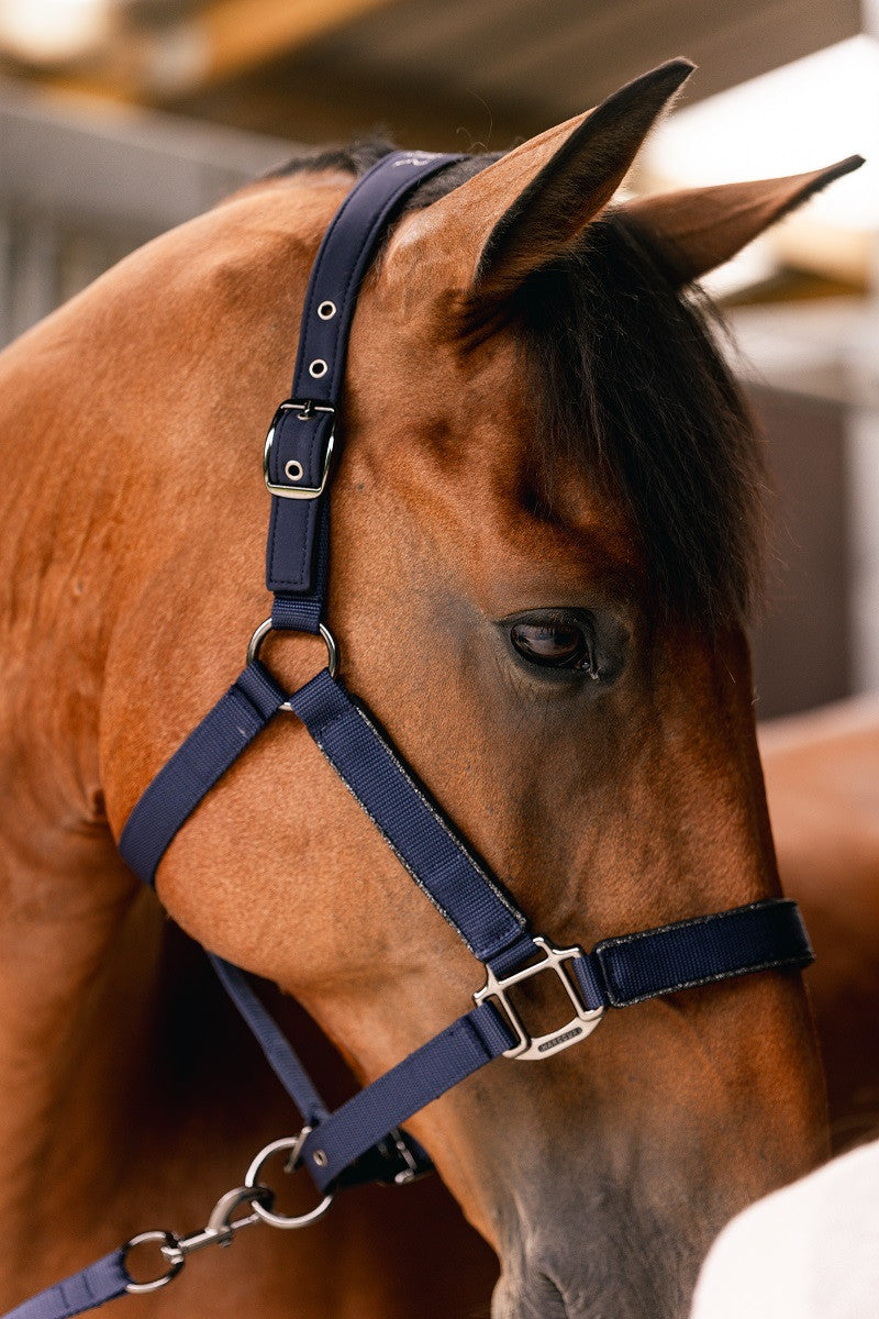 Hansey Polyester Halter with Lead Rope