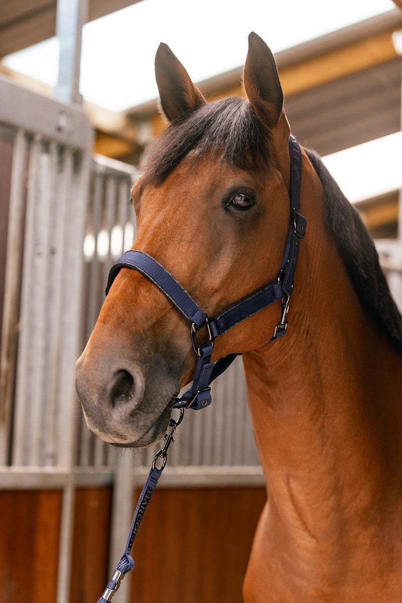Hansey Polyester Halter with Lead Rope