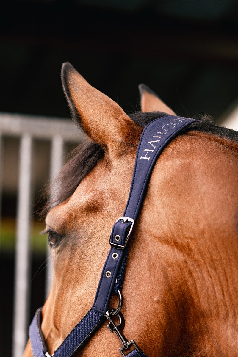 Hansey Polyester Halter with Lead Rope