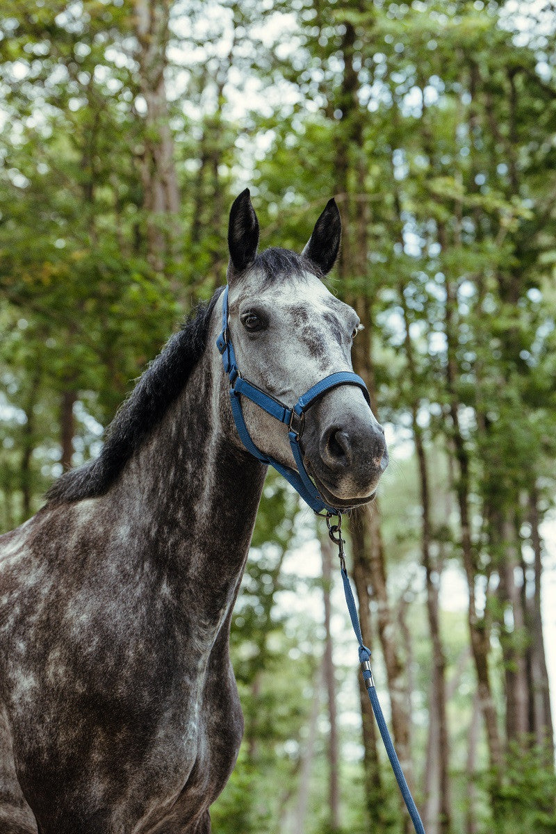 Hansey Polyester Halter with Lead Rope