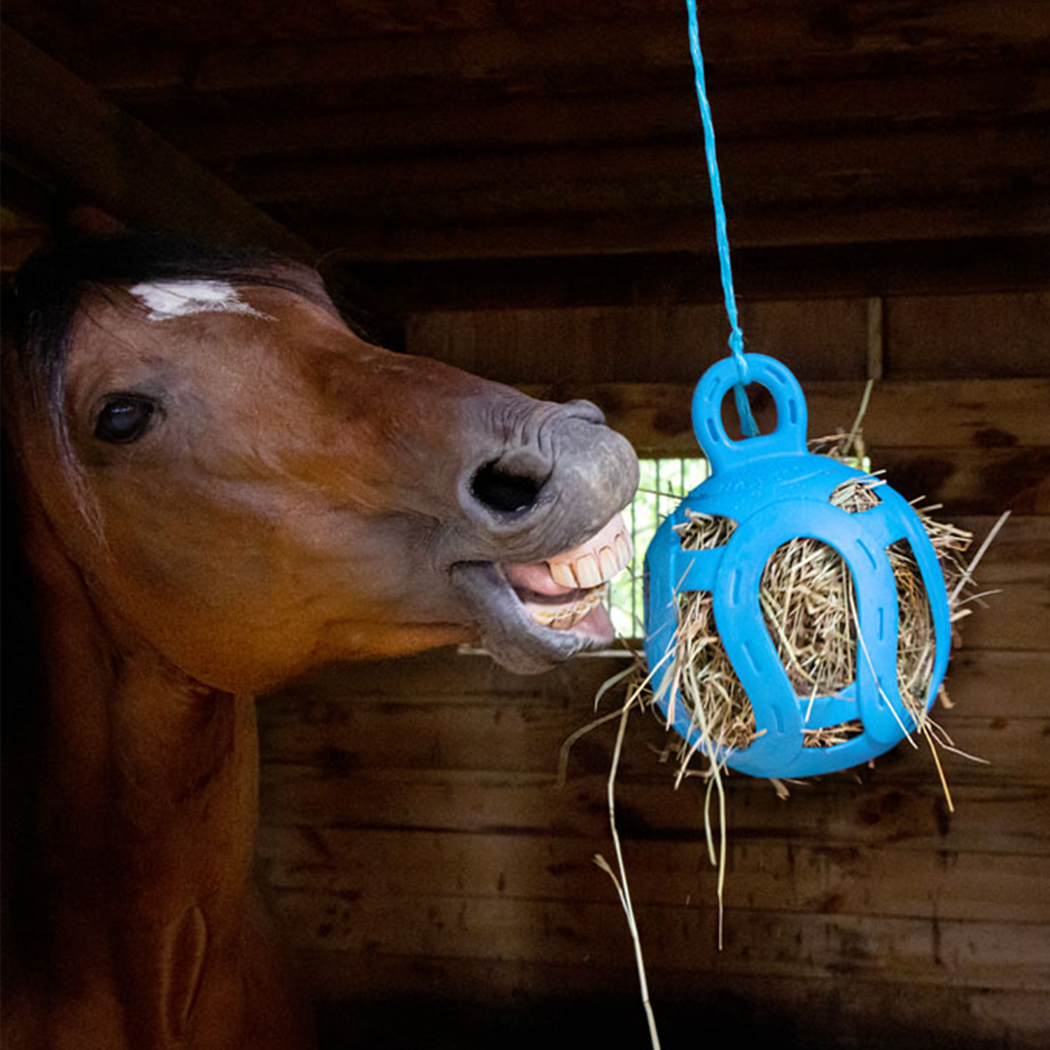 Jolly Hay Ball - Equine Exchange Tack Shop