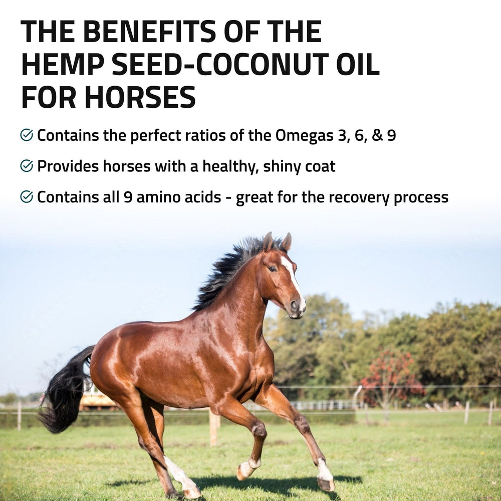 Hemp Seed-Coconut Oil for Horses - Equine Exchange Tack Shop
