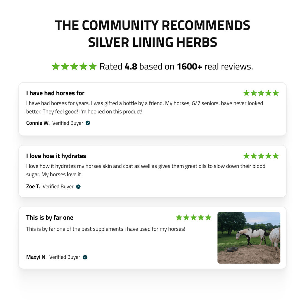 Hemp Seed-Coconut Oil for Horses - Equine Exchange Tack Shop