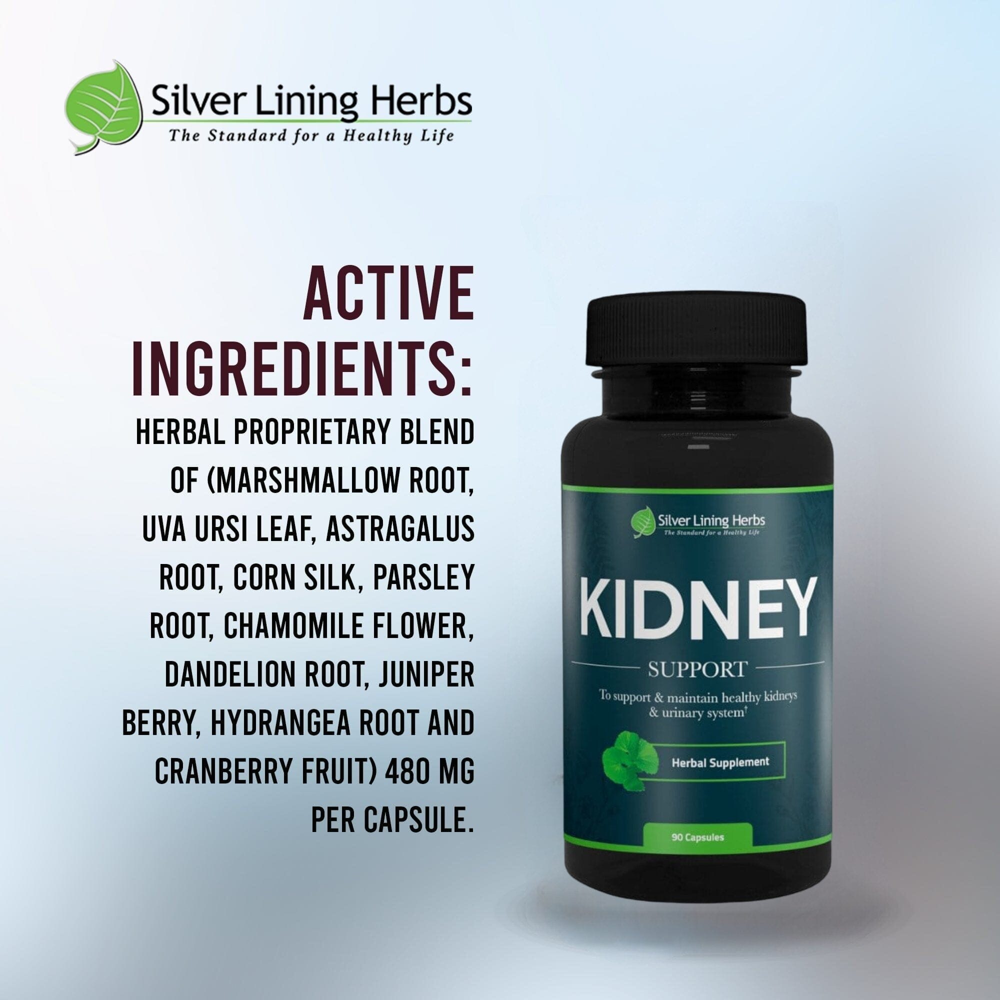 Herbal Kidney Support For Humans - Equine Exchange Tack Shop