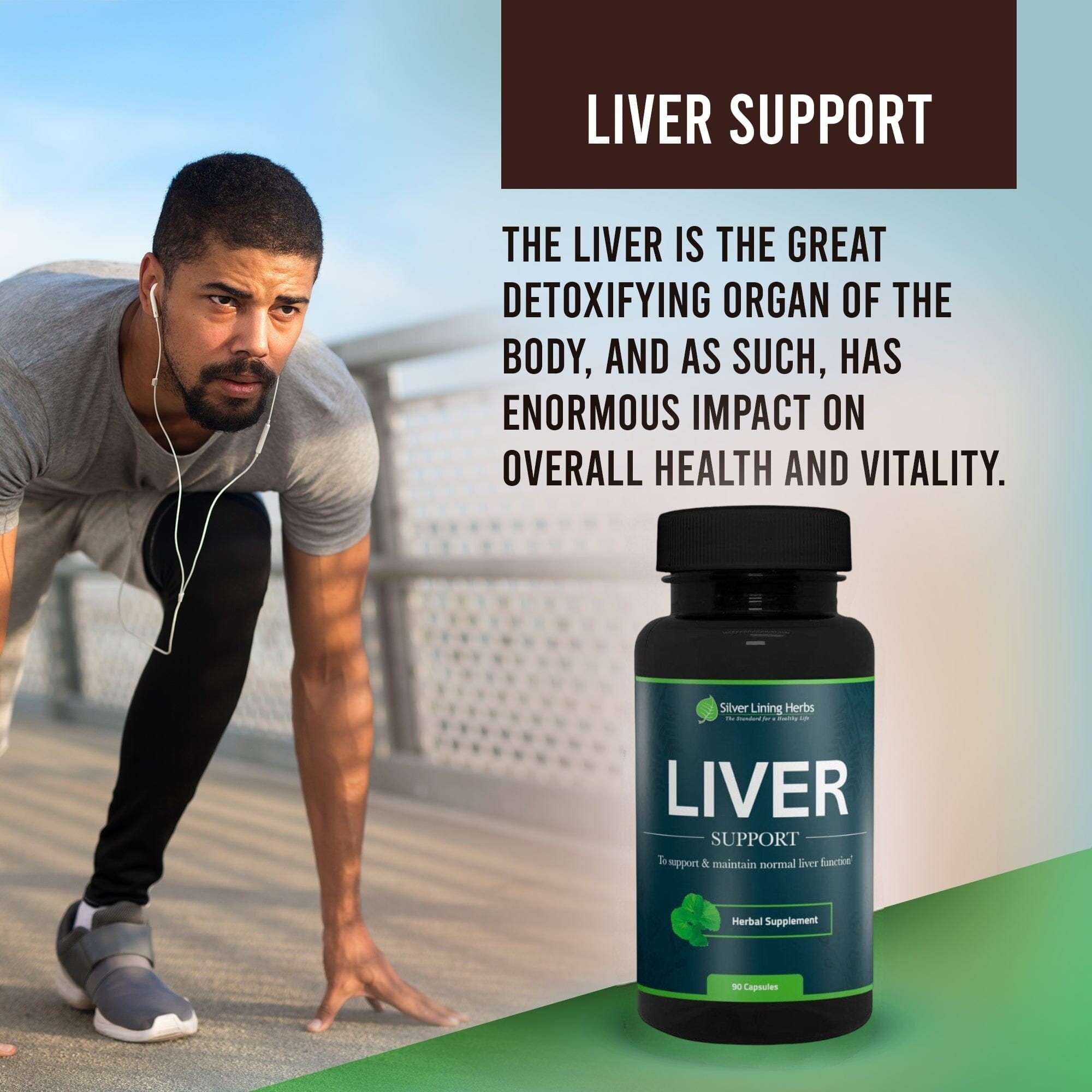 Herbal Liver Support For Humans - Equine Exchange Tack Shop