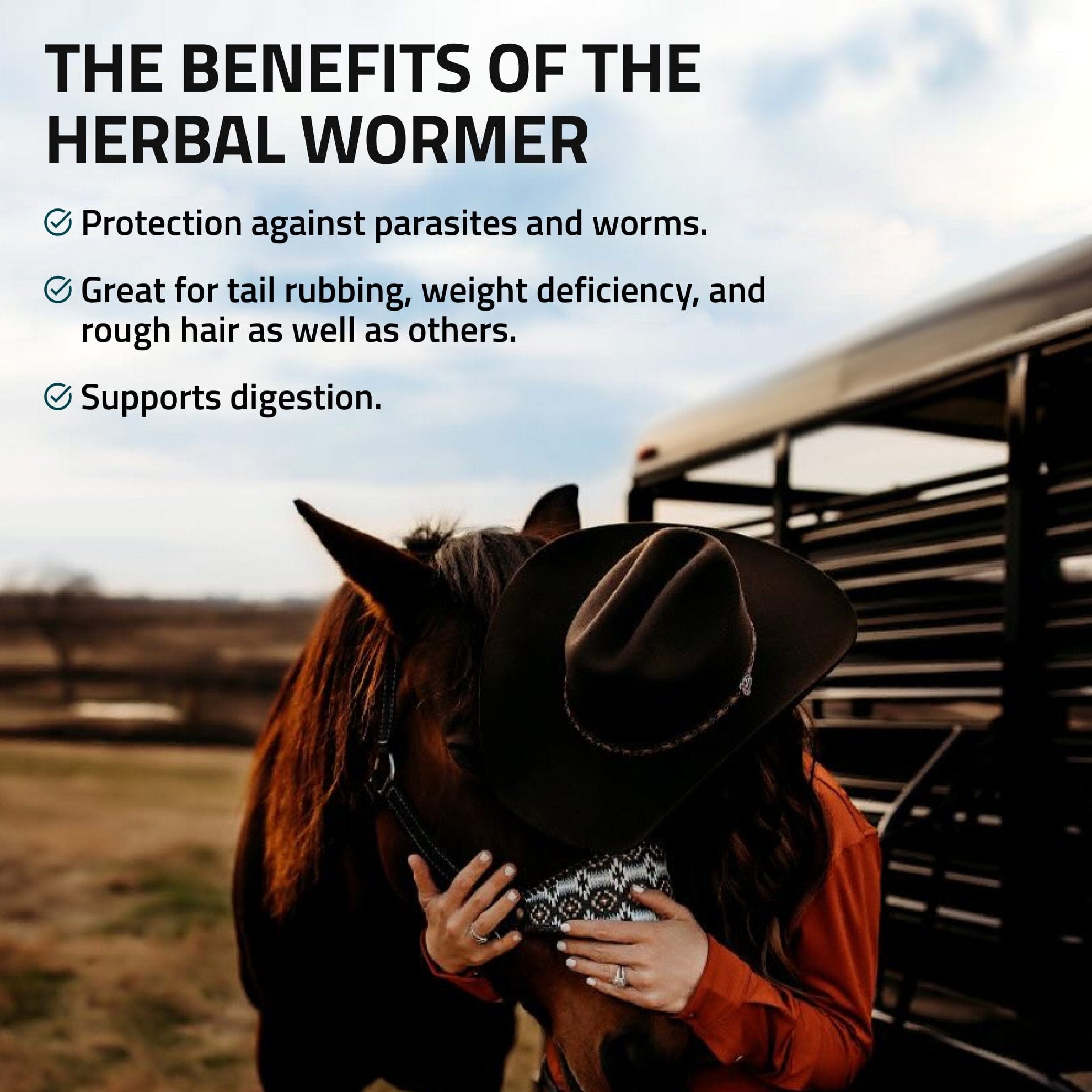 Herbal Wormer for Horses - Equine Exchange Tack Shop
