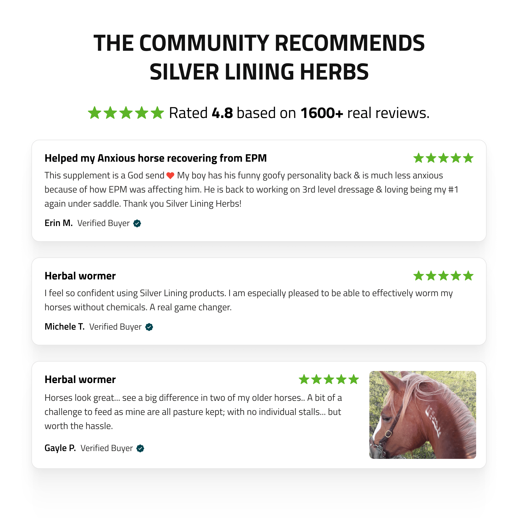 Herbal Wormer for Horses - Equine Exchange Tack Shop