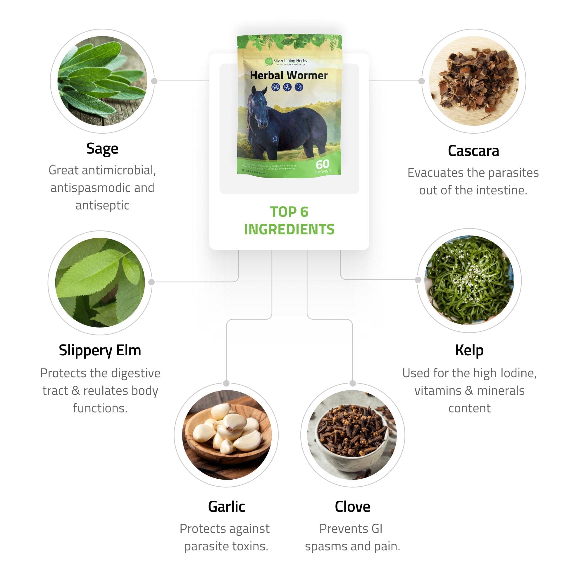 Herbal Wormer for Horses - Equine Exchange Tack Shop