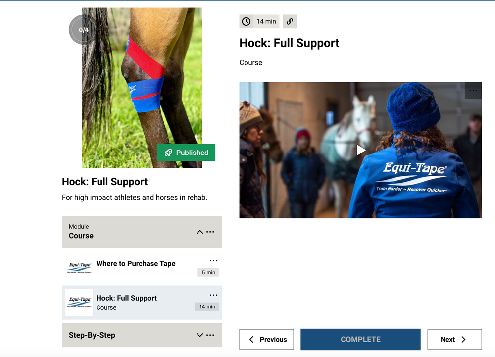 Module: The Hock - Equine Exchange Tack Shop