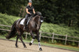 Holographic Saddle Pad Set - Equine Exchange Tack Shop
