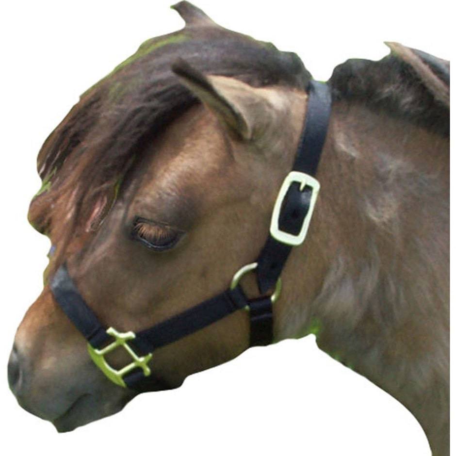 Premium Halter Chin With Strap - Equine Exchange Tack Shop