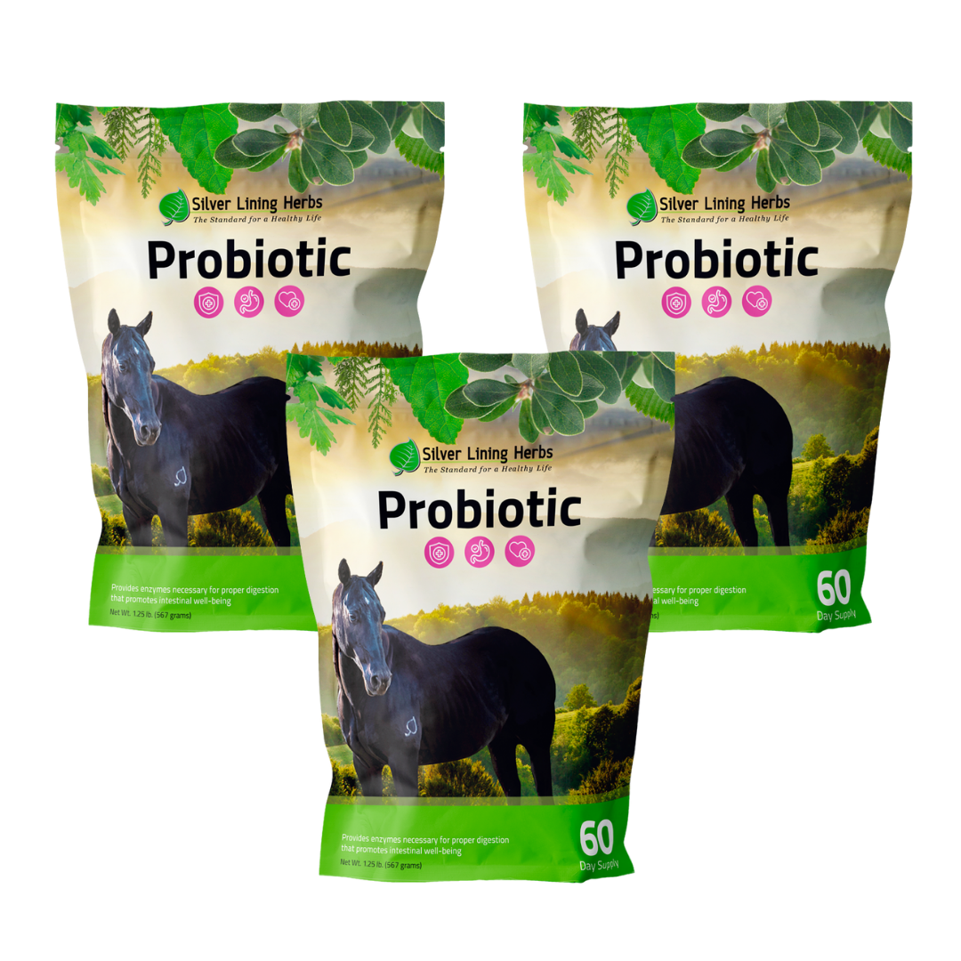 Horse Probiotics - Equine Exchange Tack Shop