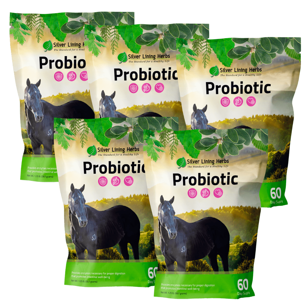 Horse Probiotics - Equine Exchange Tack Shop