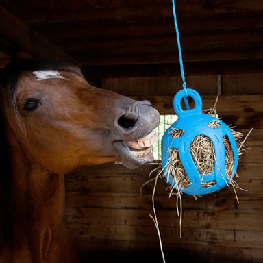 Horsemen's Pride Jolly Hay Ball - Equine Exchange Tack Shop
