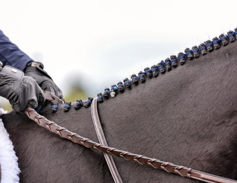 Braiding Mousse  6 oz