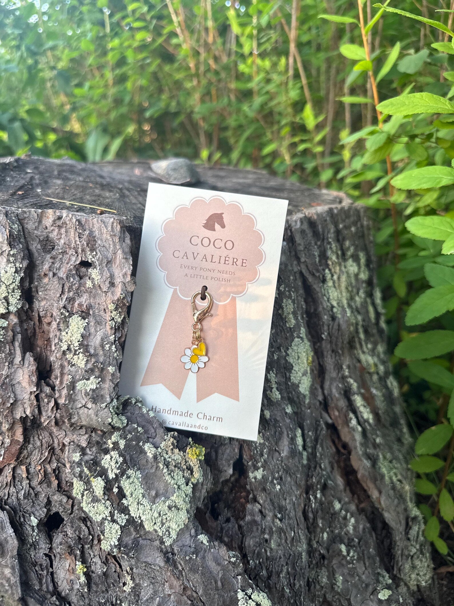 Coco Cavaliere Charms