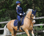 Deep Sapphire Fly Hat - Equine Exchange Tack Shop