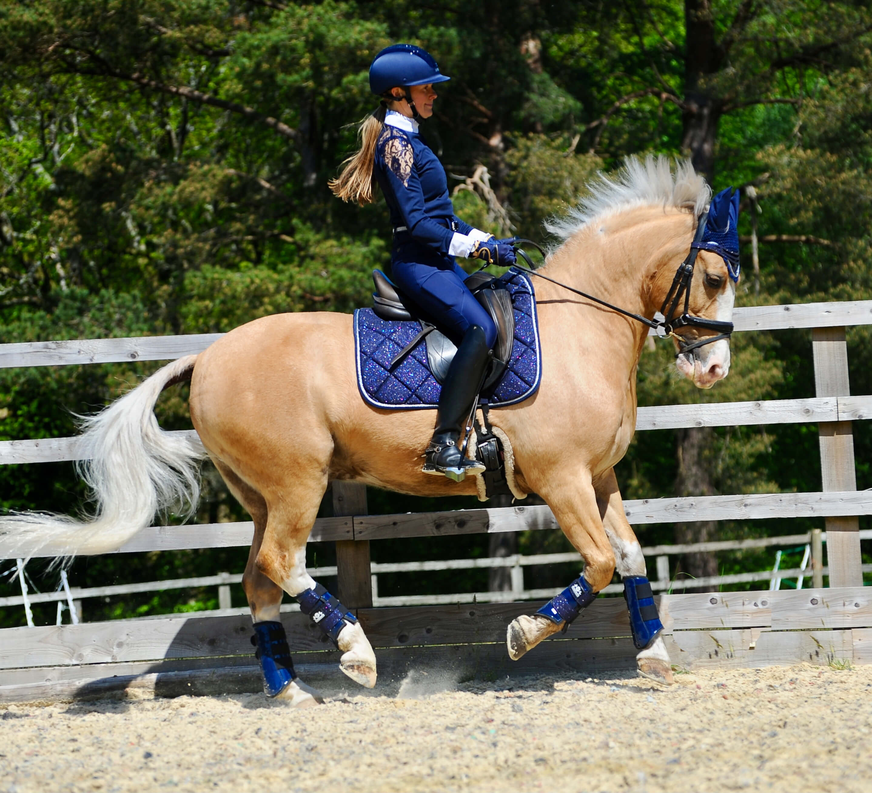 Deep Sapphire Saddle Pad - Equine Exchange Tack Shop