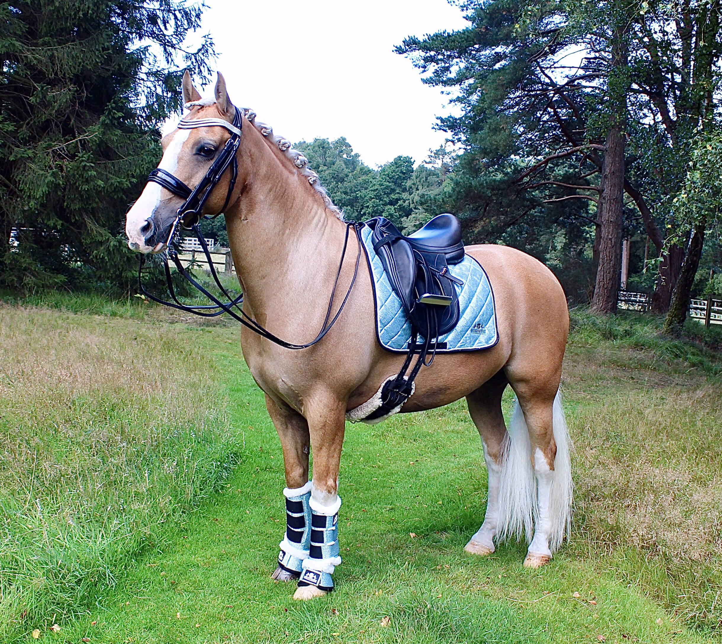 Baby Blue Bell Boots - Equine Exchange Tack Shop