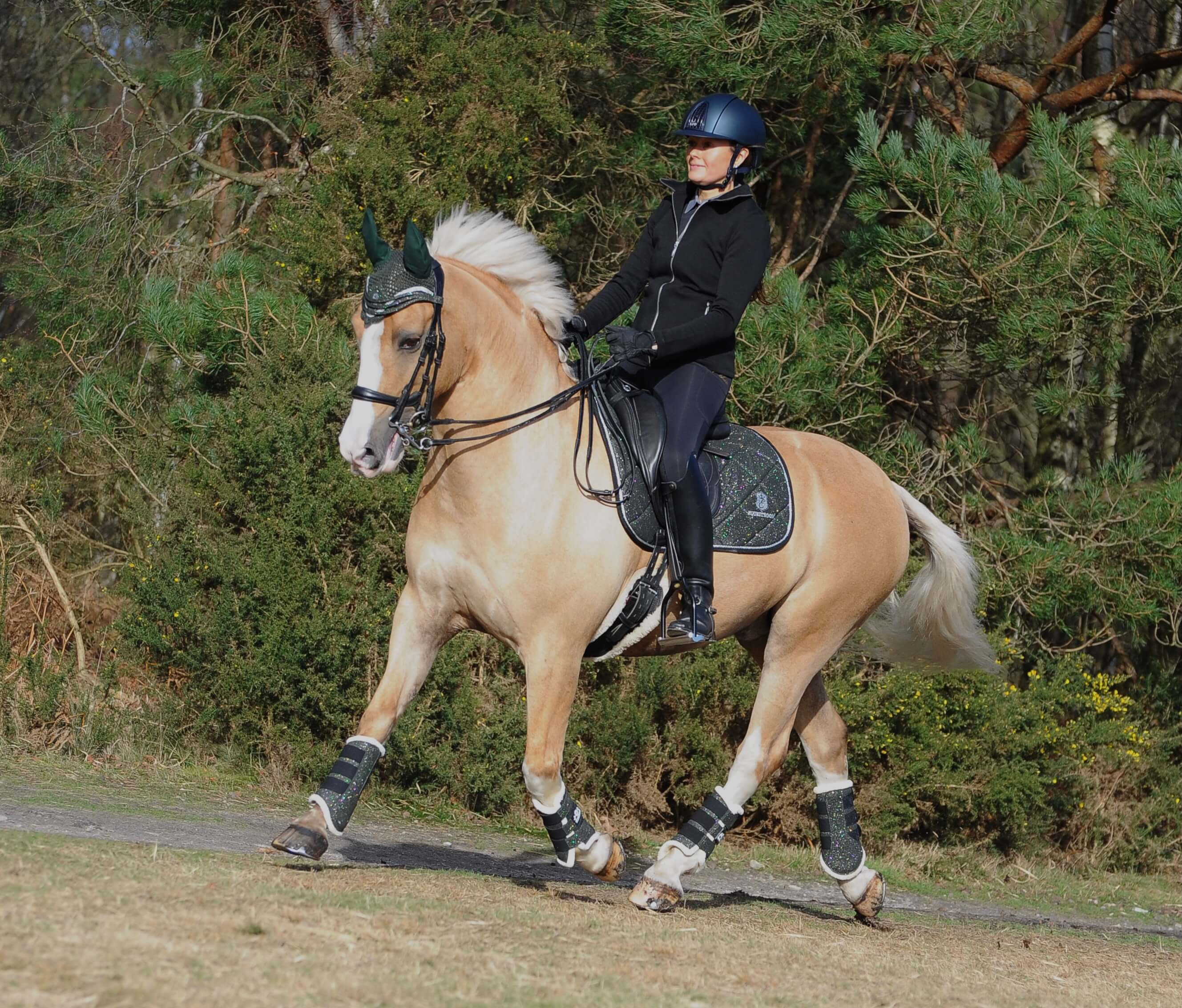 Jade Green Saddle Pad Set - Equine Exchange Tack Shop