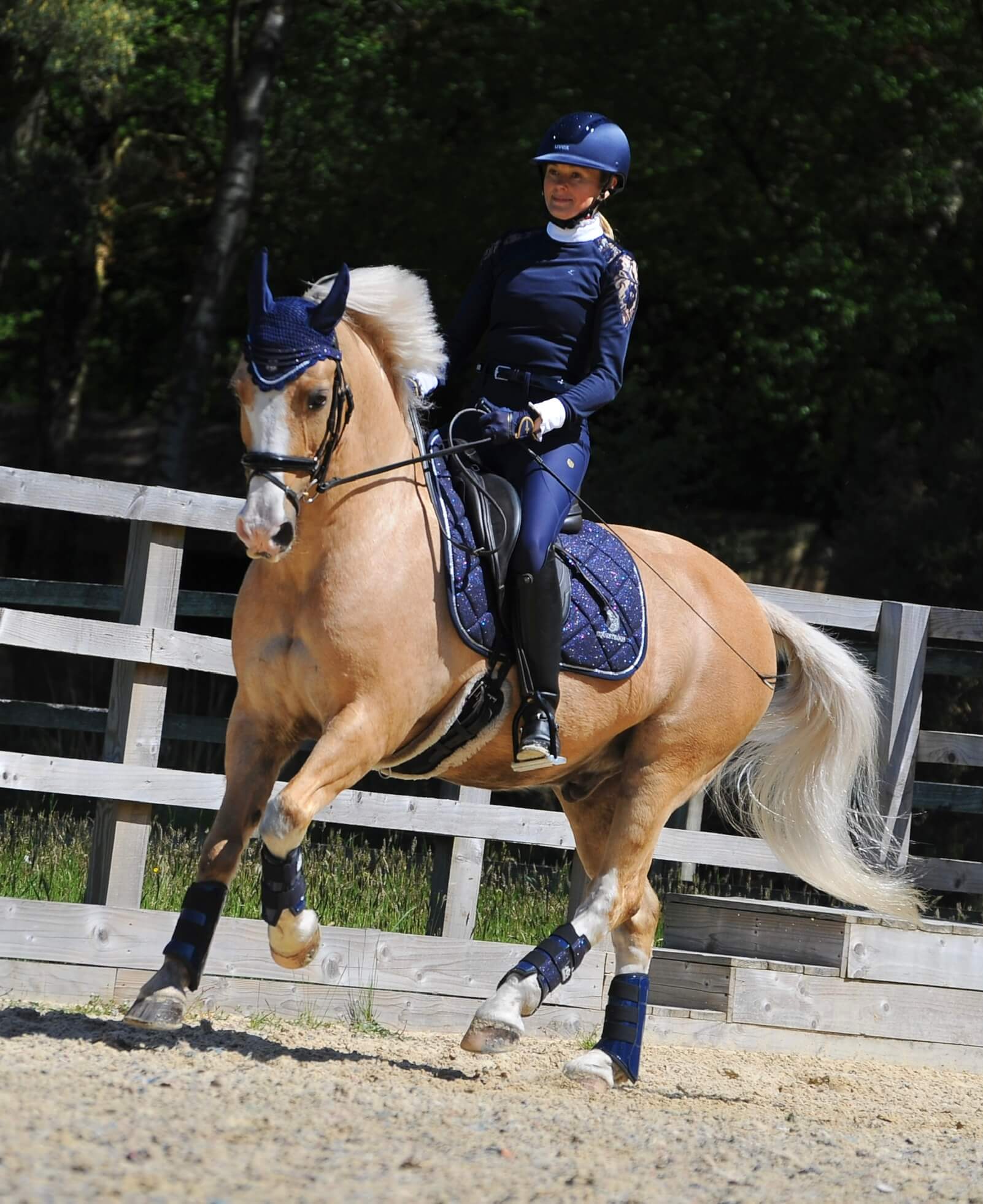 Deep Sapphire Saddle Pad - Equine Exchange Tack Shop
